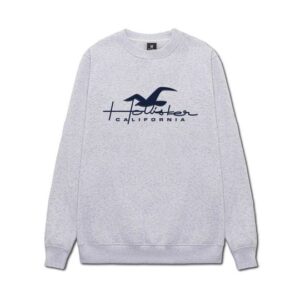 H0ll1st3r sweatshirt y
