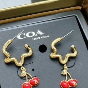 C0ach earrings y